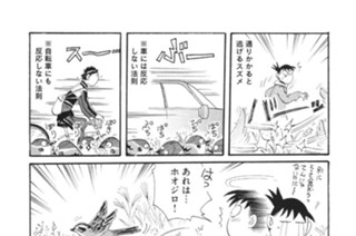 第３１９羽 표지