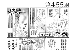第４５５羽 표지