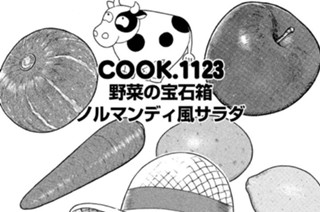 野菜の宝石箱 ノルマンディ風サラダ 표지