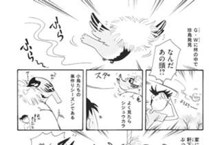 第１５２羽 표지