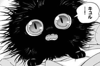 第２９話 不思議な命 표지