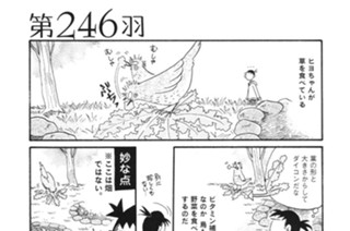 第２４６羽 표지