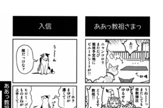 ああっ教祖さまっ 표지
