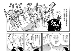 第４２１羽 표지