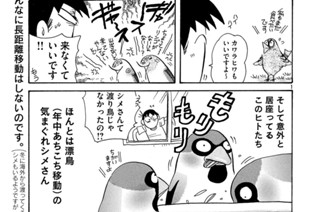 第７３１羽 표지