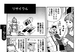 プ〜ねこ（１３） 표지
