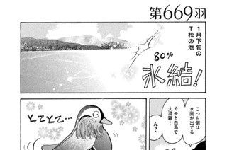 第６６９羽 표지