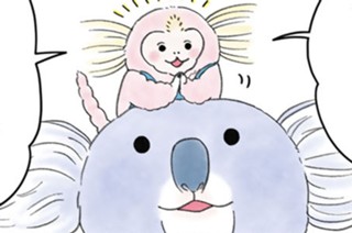 第２３話 ヘアモデルをさがせ 표지