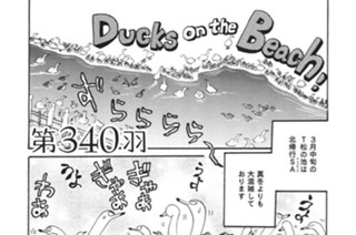 第３４０羽 표지