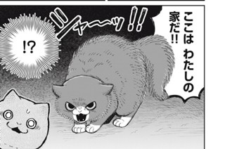 第２９話 引っ越しのご挨拶 표지