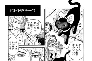 プ〜ねこ（１３８） ヒト好きチーコ 표지