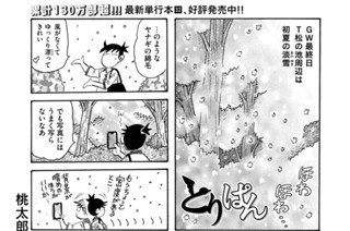 第９２５羽 표지
