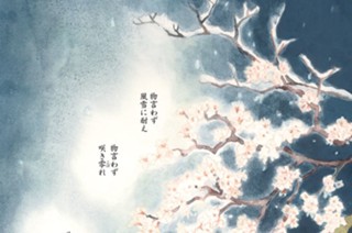 花惑（はなまど）い 표지