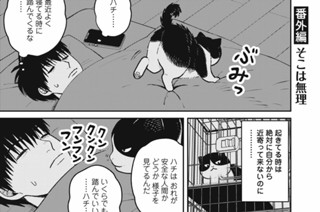50화 番外編25 표지