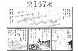 第１４７羽 표지