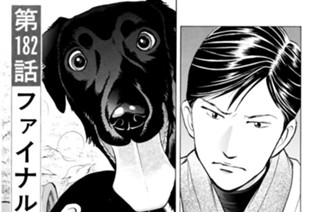 第１８２話 ファイナル初日の朝に 표지