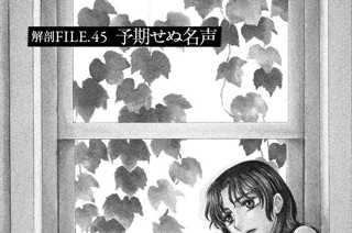 解剖ＦＩＬＥ．４５ 予期せぬ名声 표지