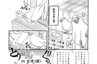 第３６３羽 표지