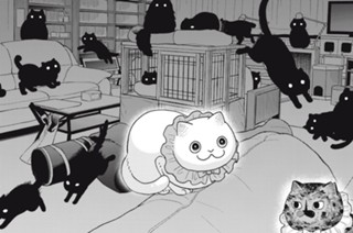 第４３話 一期一会 표지