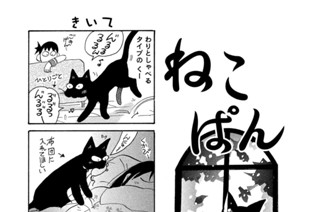 第６６０羽 표지