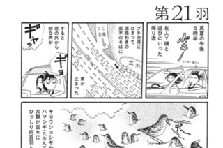 第２１羽 표지