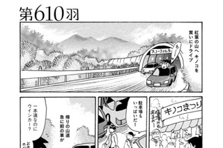 第６１０羽 표지