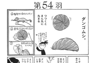 第５４羽 표지