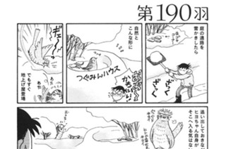第１９０羽 표지