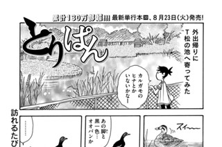 第８３４羽 표지