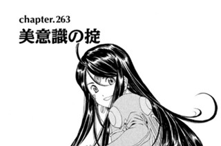 chapter.263 美意識の掟 표지