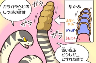 おまけ７① オレゴンガラガラヘビ 표지