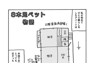 678화 ８本足ペット物語 표지