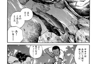ＰＨＡＳＥ．２１ 少女と負け犬 표지
