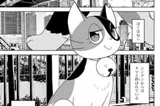【#ex】ねことエルフ 표지