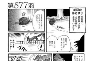 第５７７羽 표지