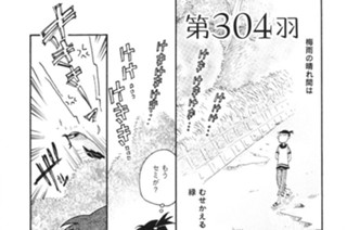 第３０４羽 표지