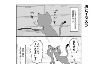 第3話 표지