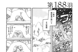 第１８８羽 표지