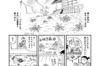 第４４３羽 표지