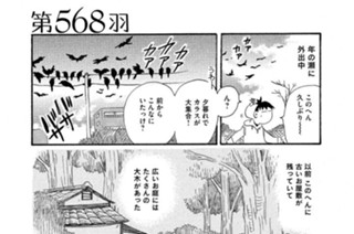 第５６８羽 표지