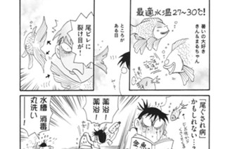 第３０８羽 표지