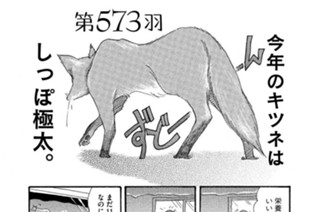 第５７３羽 표지
