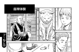 プ～ねこ（１５３） 座禅体験 표지