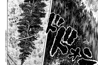 第１８３話 先住民 표지