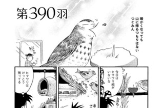 第３９０羽 표지