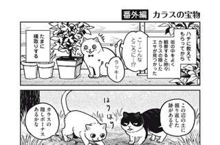 14화 番外編６ 표지