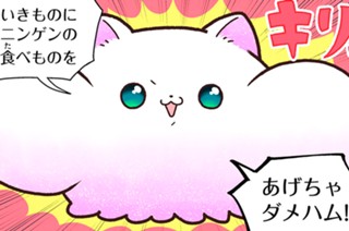 おまけ１４ ハムハム登場 표지