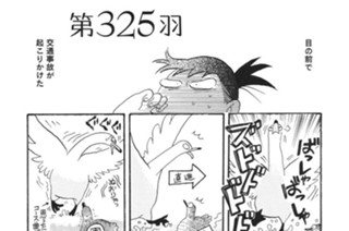 第３２５羽 표지