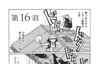 第１６羽 표지