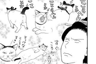 その７ 표지